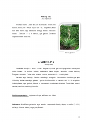 www.speros.lt